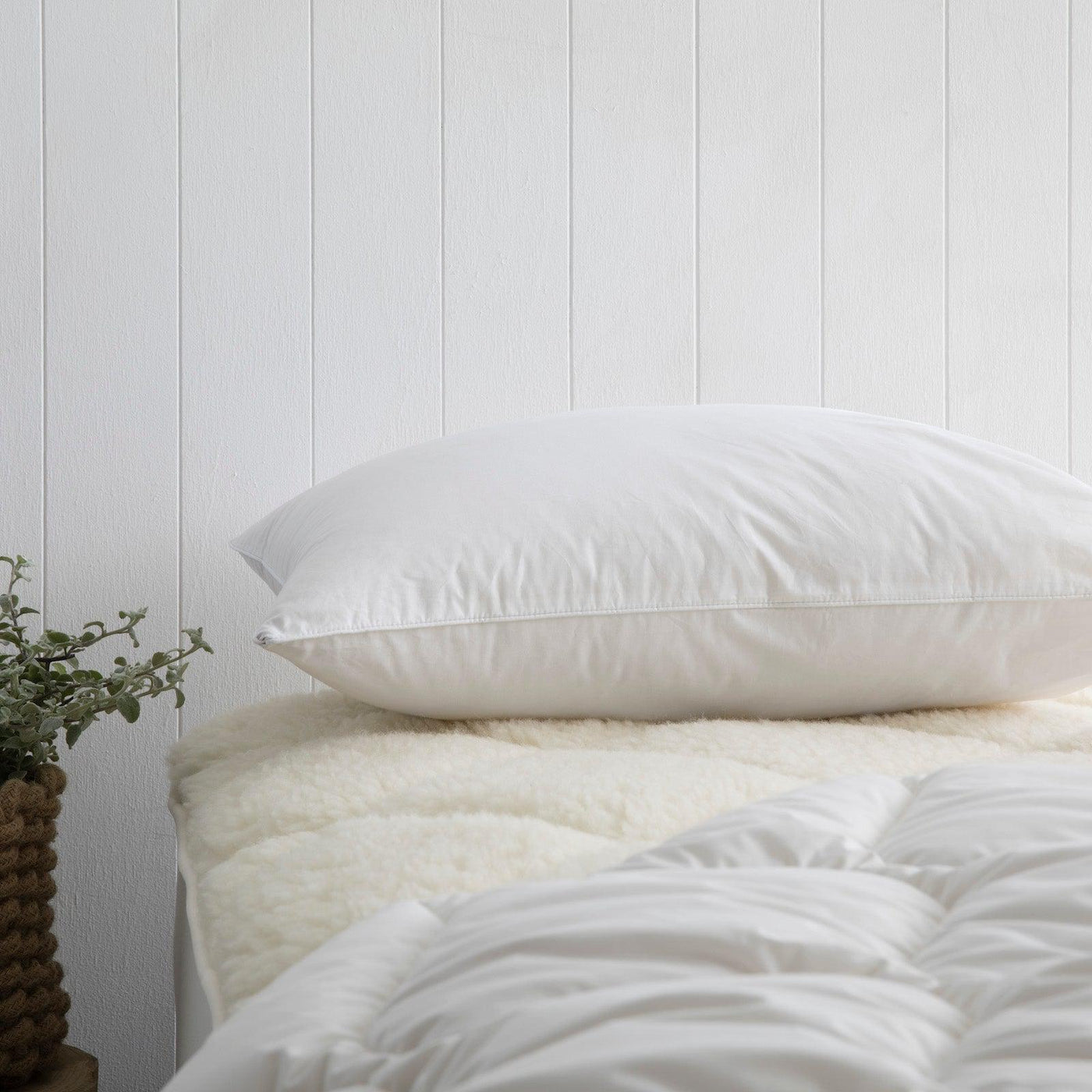 Eco Australian Wool Pillow-Pillows-LUXOTIC